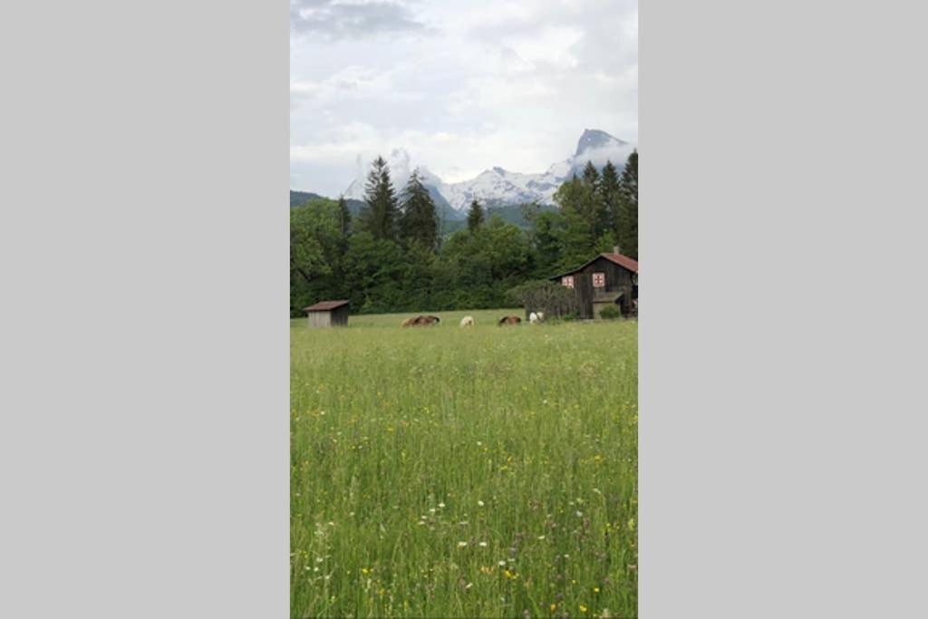 Chalet Alliance Entre Calme Et Plaisir Villa Morillon Esterno foto
