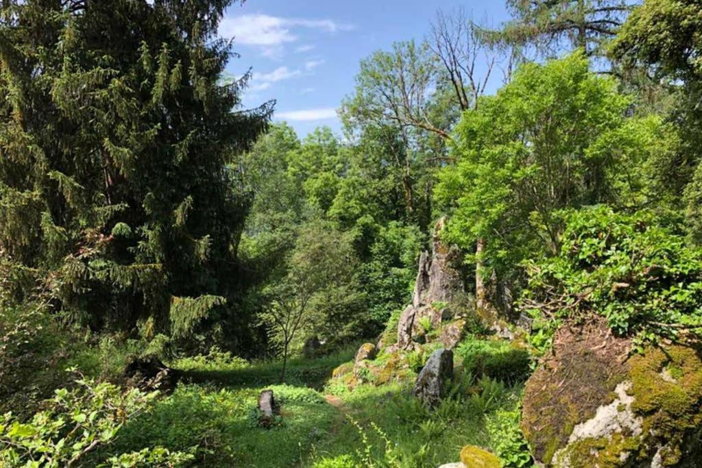 Chalet Alliance Entre Calme Et Plaisir Villa Morillon Esterno foto